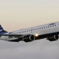 Des asticots dans des fruits secs