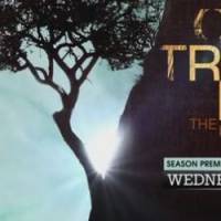 Les Frères Scott 9x13 « One Tree Hill » - Vidéo streaming