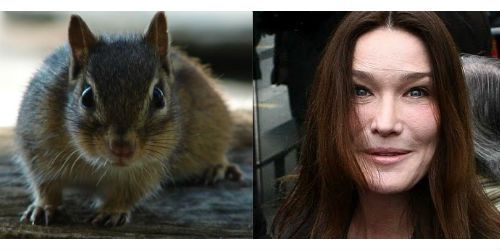 Carla Bruni-Sarkozy, le botox et la chirurgie esthétique