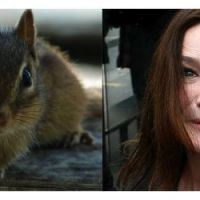 Carla Bruni & la chirurgie esthétique : un visage méconnaissable