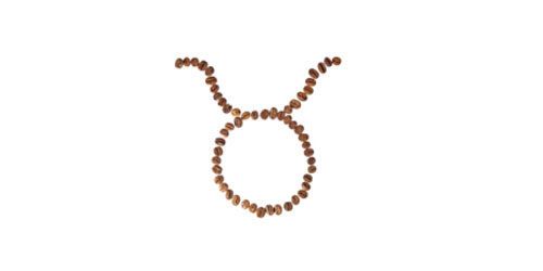 Horoscope : taureaux : que vous réserve 2011 ?