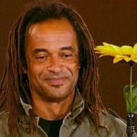 Yannick Noah : il va payer 75% d’impôts ! 