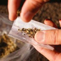 Cannabis : la ministre du Logement Cécile Duflot pour la dépénalisation 