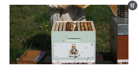 Untoitpourlesabeilles.fr : Comment parrainer une ruche et recevoir son miel ?