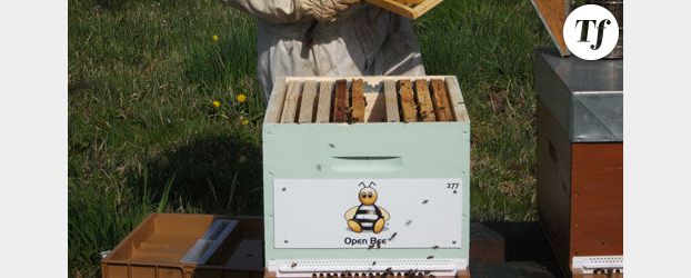 Untoitpourlesabeilles.fr : Comment parrainer une ruche et recevoir son miel ? 