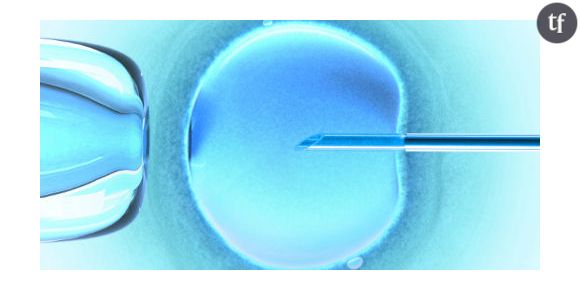 La jeune femme née d'un don de sperme n'aura pas accès à ses origines