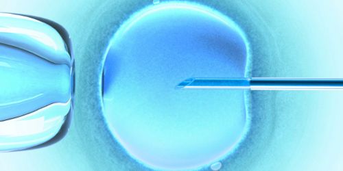 La jeune femme née d'un don de sperme n'aura pas accès à ses origines