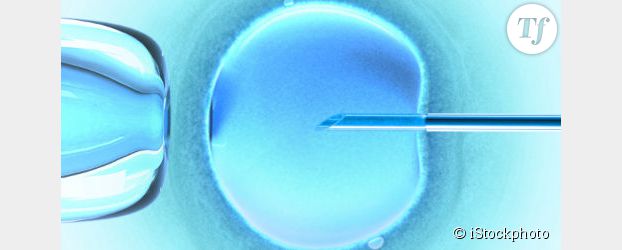 La jeune femme née d'un don de sperme n'aura pas accès à ses origines