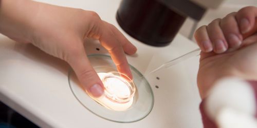 FIV : 5 millions de bébés nés dans le monde depuis 1978