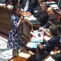 Remarques machistes à l'Assemblée sur la robe de Cécile Duflot (Vidéo)