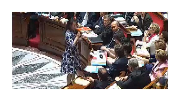 Remarques machistes à l'Assemblée sur la robe de Cécile Duflot (Vidéo)