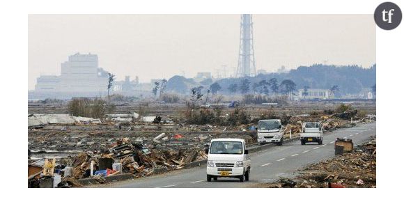 Fukushima : des risques ignorés à l'origine de la catastrophe