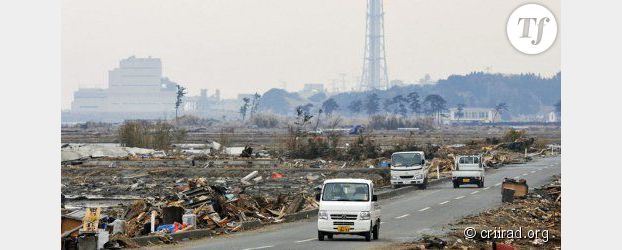 Fukushima : des risques ignorés à l'origine de la catastrophe 