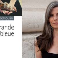 Rentrée littéraire 2012 : Nathalie Démoulin, « La Grande bleue »