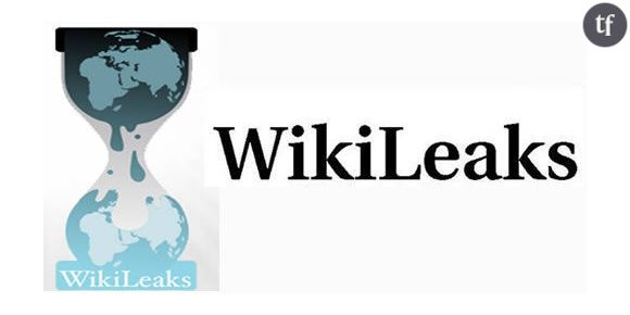 Wikileaks : le Français de 15 ans arrêté en décembre n’est pas un hacker