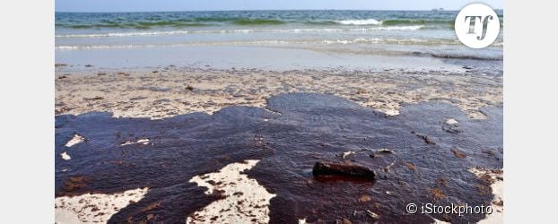 Marées noires : un composant du chocolat pour dissoudre le pétrole
