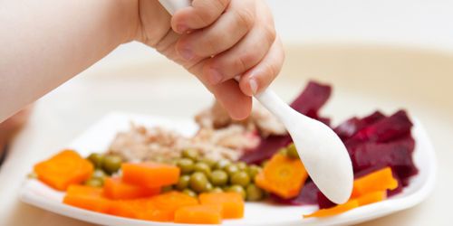Peut-on se nourrir sans OGM en France ?