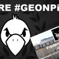 Twitter et les pigeons entrepreneurs : Frédéric Giudicelli peut-il se permettre le second degré à l’Elysée ?
