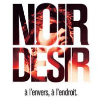 Noir Désir : un livre révèle les dessous du groupe