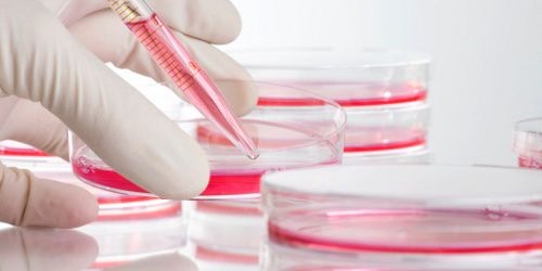 Cancer : pour les Français, les scientifiques trouveront un remède d'ici 20 ans