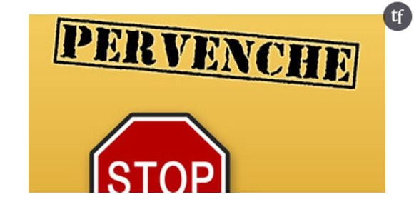 « Pervenche », l’appli pour échapper aux PV des pervenches