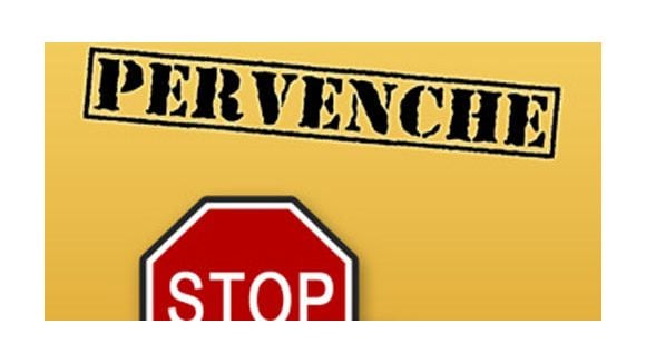 « Pervenche », l’appli pour échapper aux PV des pervenches