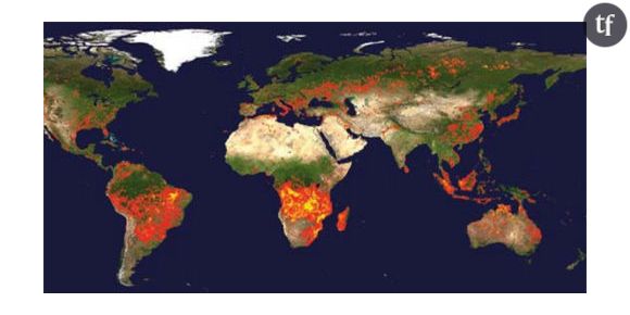 Les effets du climat sur la santé décortiqués dans un atlas de l'ONU