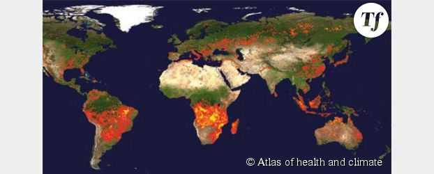 Les effets du climat sur la santé décortiqués dans un atlas de l'ONU
