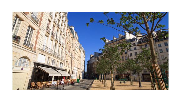 Paris bientôt en zone de publicité restreinte