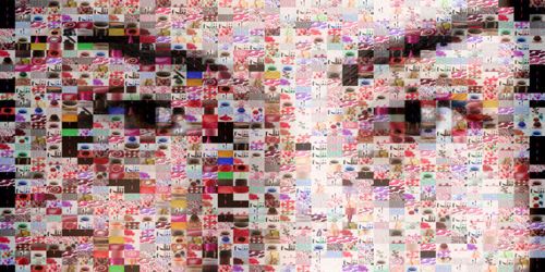 Portrait robot de la femme française en 2012, selon l'Insee