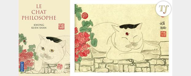 Le chat philosophe : des aquarelles pour un enseignement zen