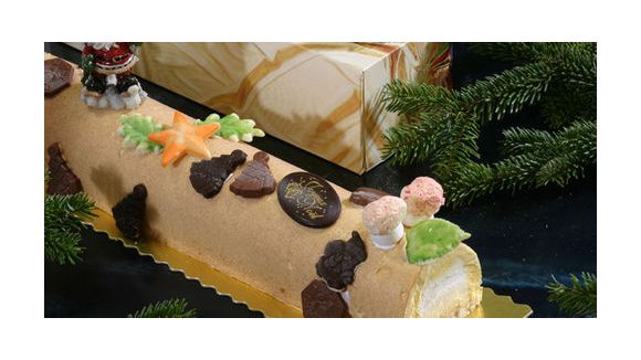 Noël 2012 : où acheter un moule à bûche glacée ou comment le fabriquer ?