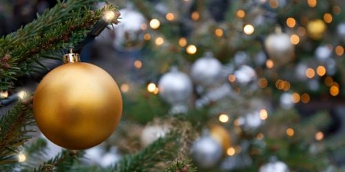 Un sapin de Noël décoré d’insectes et d’araignées