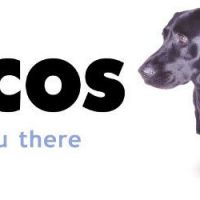 Lycos : 2013 le retour du moteur de recherche ?