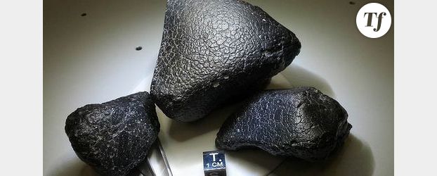 Black Beauty : une météorite de Mars en Afrique