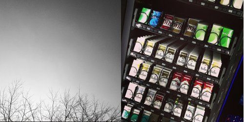 Tommy Edison, le photographe aveugle star d'Instagram