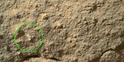 Curiosity découvre une fleur martienne - Photo