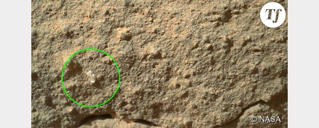 Curiosity découvre une fleur martienne - Photo