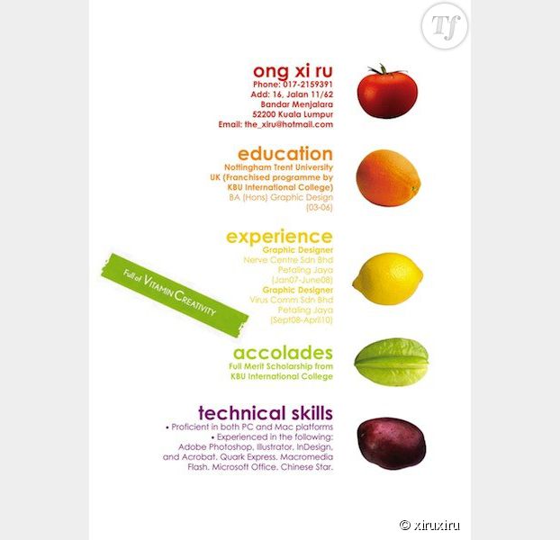 Exemples Et Modele Type De Cv Design Terrafemina