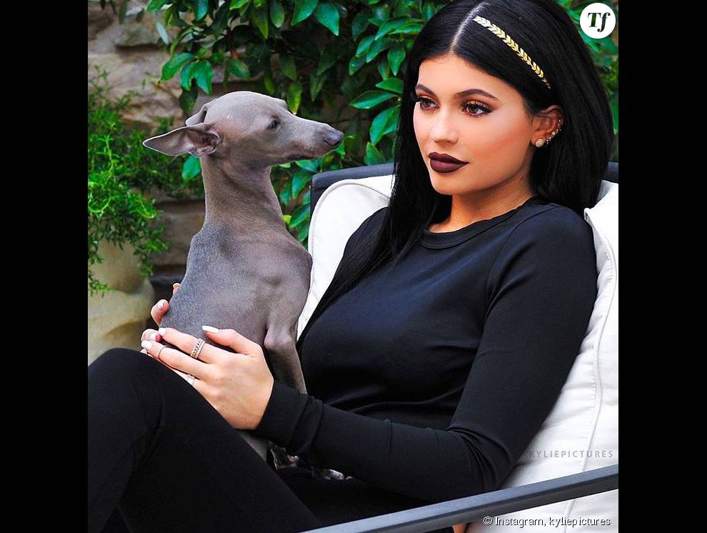 En une seule photo, Kylie Jenner a lancé la tendance du tatouage éphémère pour cheveux sur Instagram !