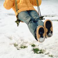 Prévision météo 2015 : les ours annoncent un hiver très froid