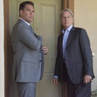 NCIS saison 13 : Anthony DiNozzo va-t-il mourir ? Michael Weatherly répond (spoilers)