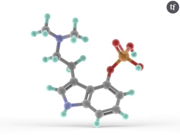 Une molécule de psilocybine