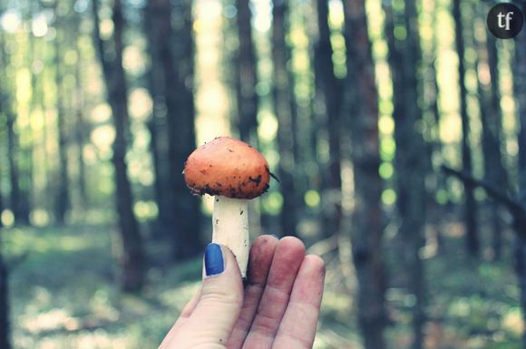 Les champignons hallucinogènes, remède contre la dépression ?