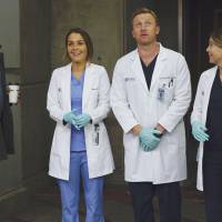 Grey's Anatomy saison 13 : quelle date de diffusion ?