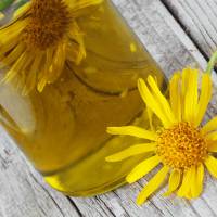 Huile d'arnica : ses bienfaits étonnants pour les cheveux et la peau