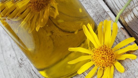 Huile d'arnica : ses bienfaits étonnants pour les cheveux et la peau