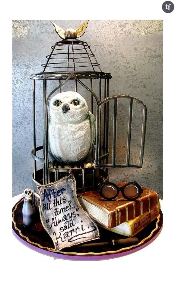 Recréez la cage d'Hedwidge, chouette d'Harry Potter