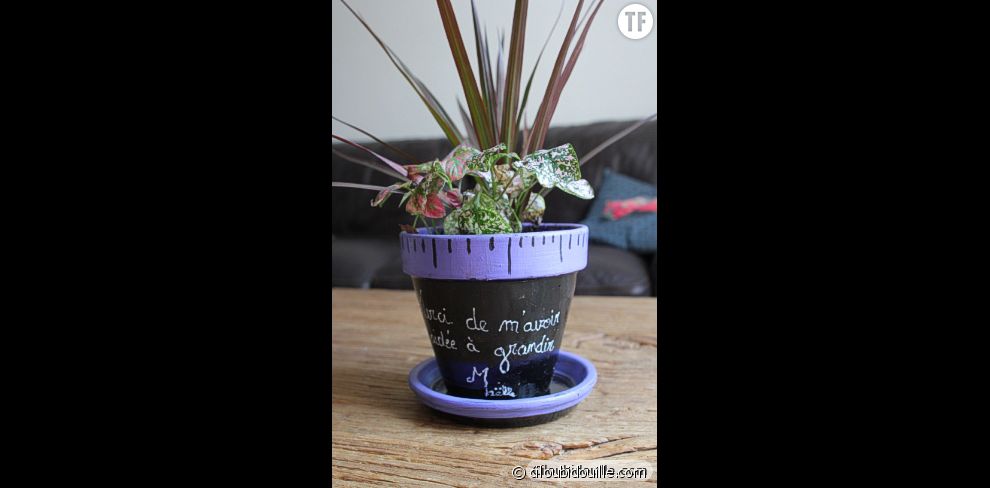 Un plante avec pot personnalisé