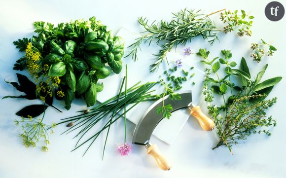 Les herbes aromatiques